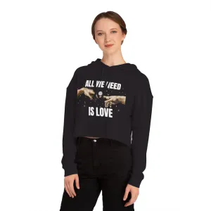 Aesthetic women's cropped hoodie