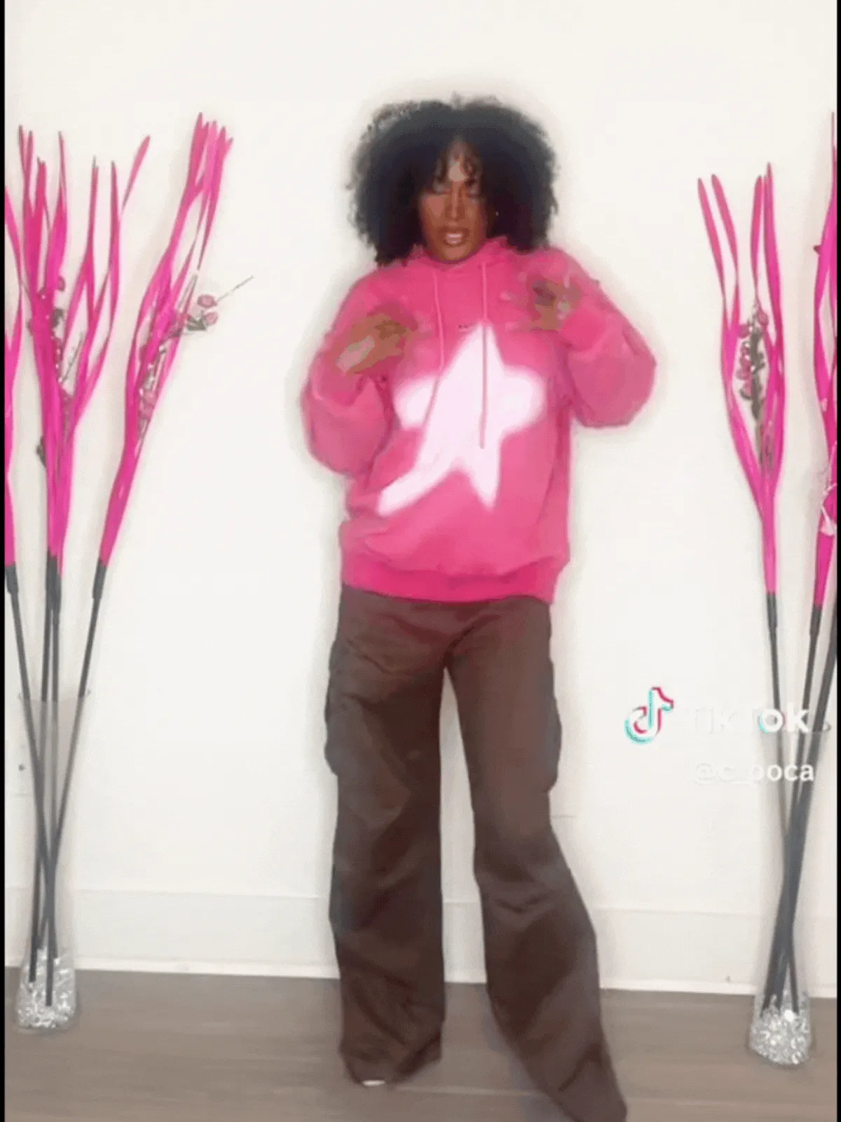 BASIC AMERICAN STAR HOODIE