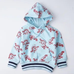 Boys Hoodies (Dino)