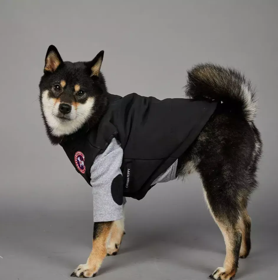 Canada Pup Pet Puffer Vest