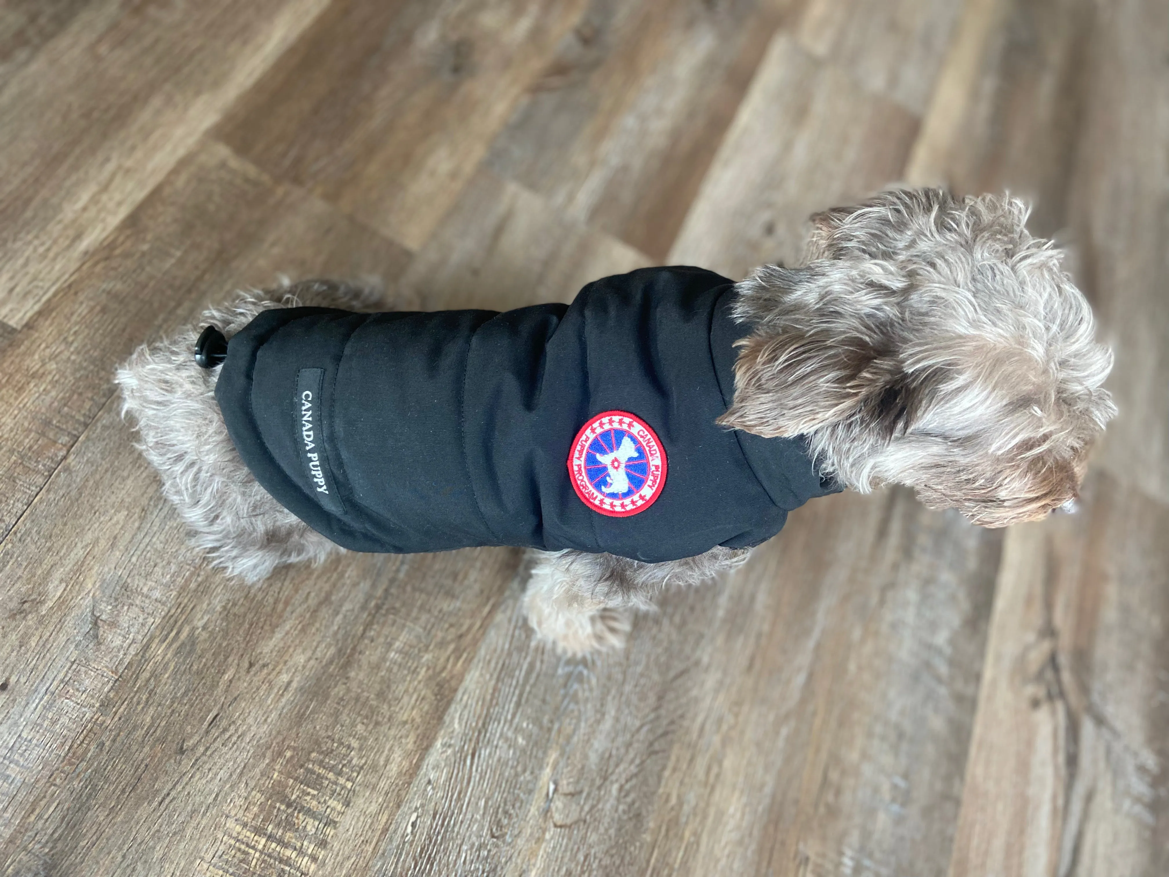 Canada Pup Pet Puffer Vest