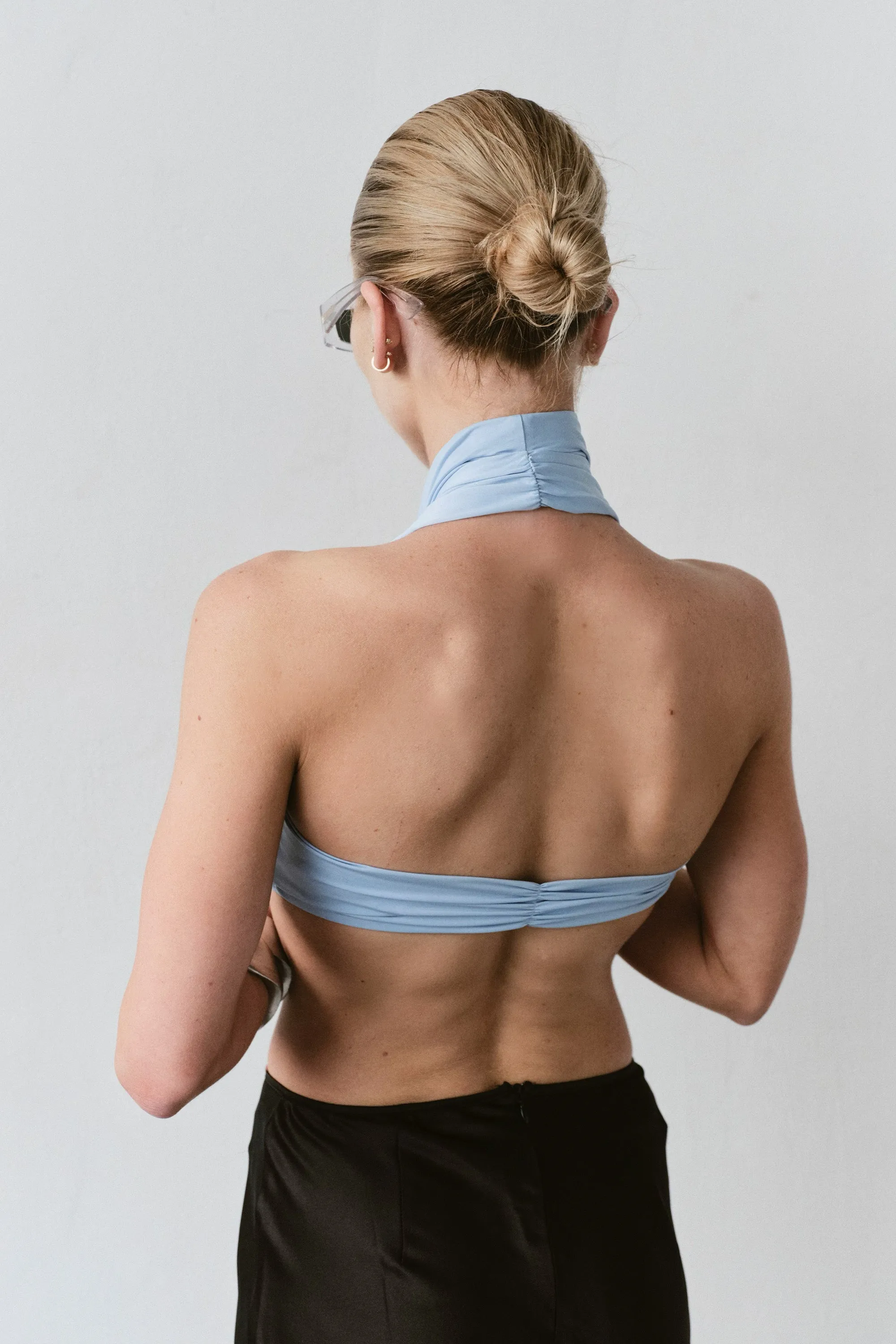 CHRYSLER CROP