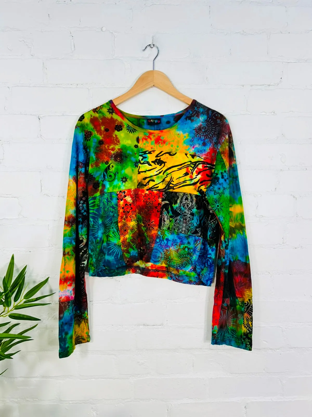 Cropped Long Sleeve Top