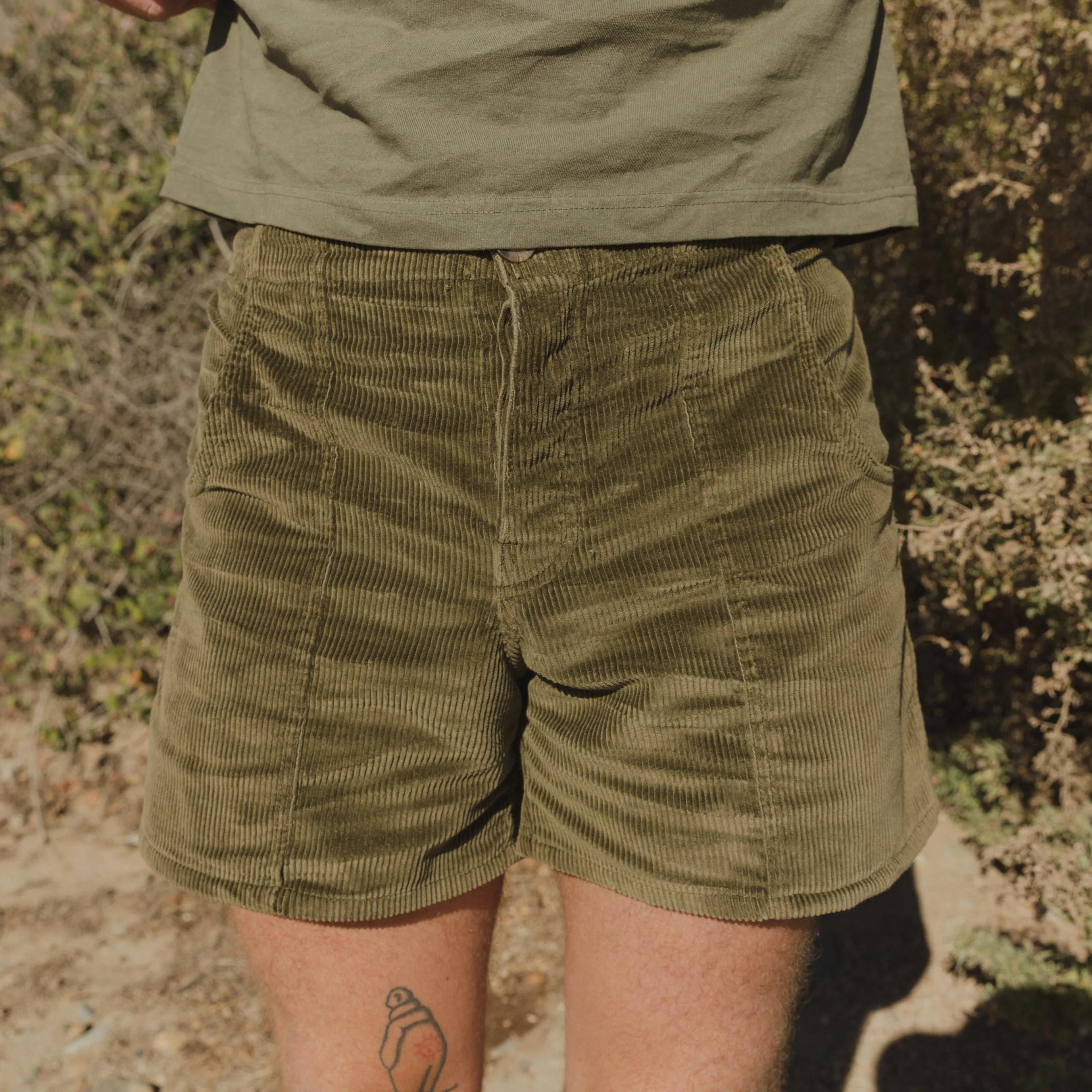 Daydream Garabaldi Shorts - Olive