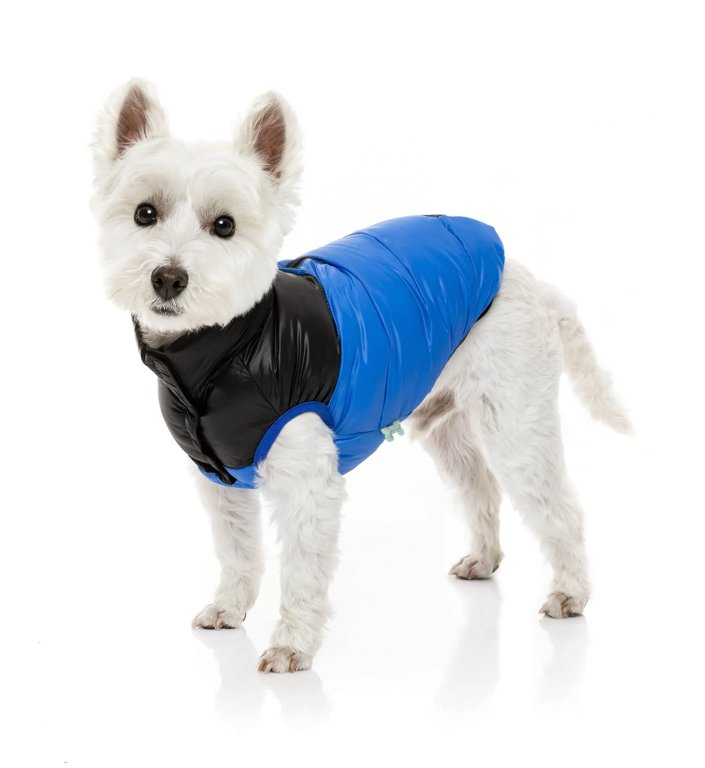 Harlem Puffer Jacket - Blue