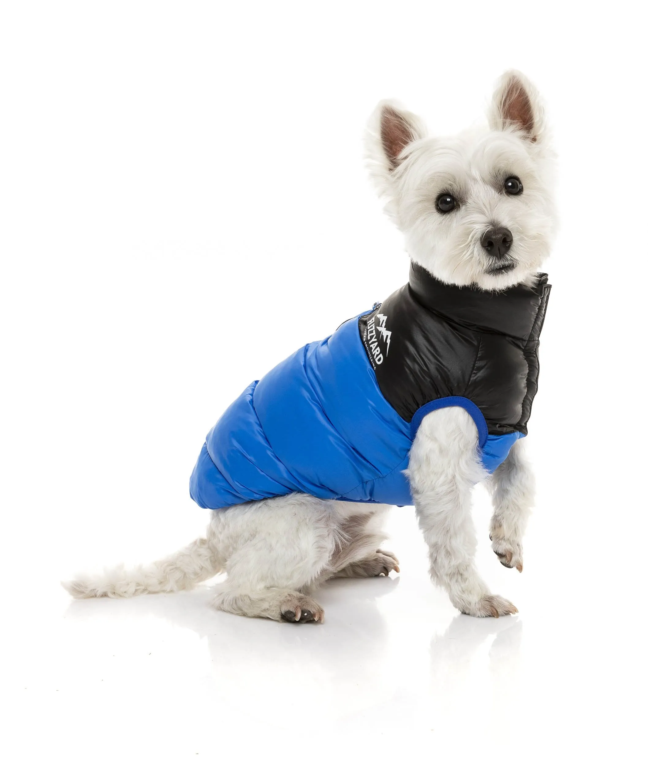 Harlem Puffer Jacket - Blue