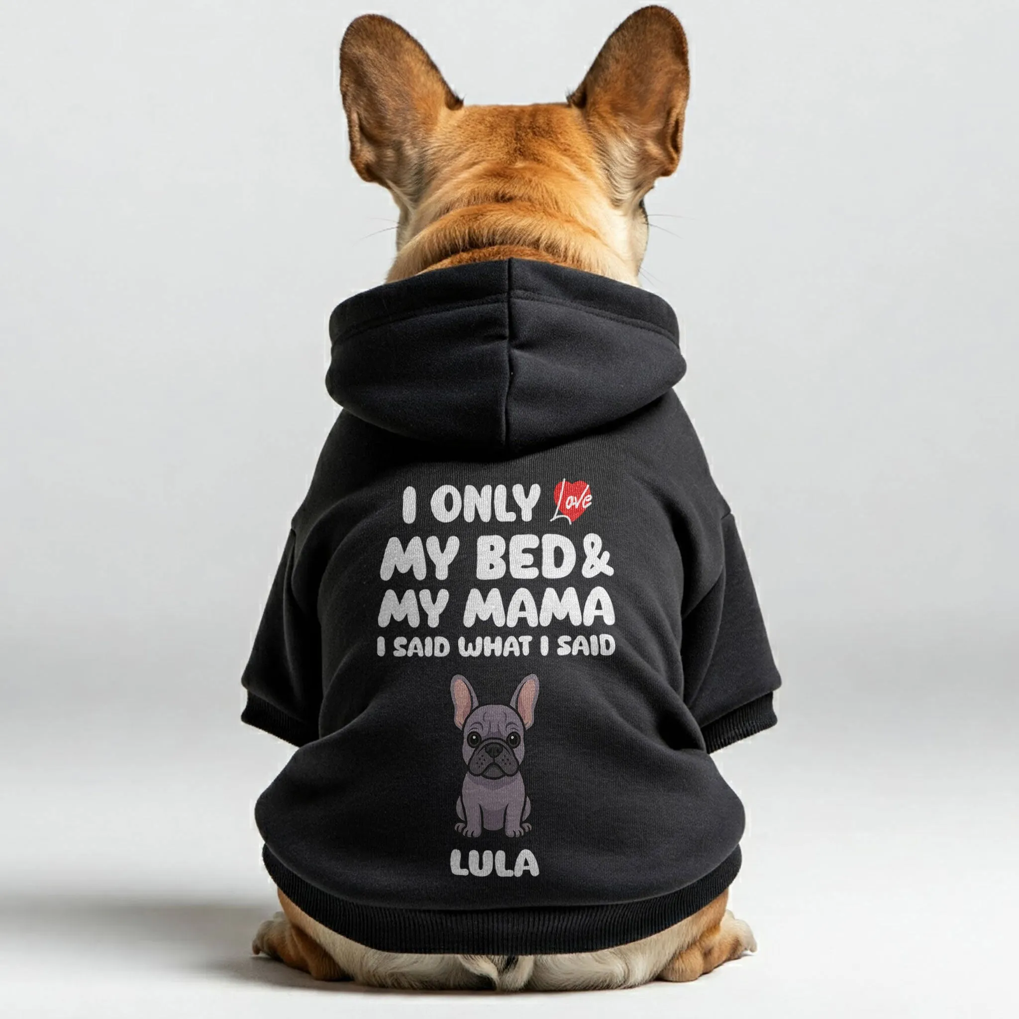 I ONLY LOVE - Personalized French Bulldog hoodies with funny quotes, custom name, 'MAMA' or 'DADA' text, and custom clipart matching your Frenchie's color – Stylish, Cozy, and Premium 100% Cotton