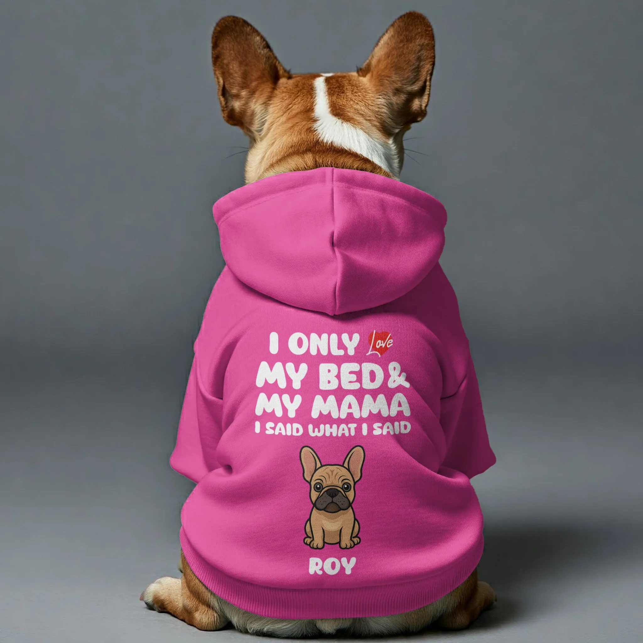I ONLY LOVE - Personalized French Bulldog hoodies with funny quotes, custom name, 'MAMA' or 'DADA' text, and custom clipart matching your Frenchie's color – Stylish, Cozy, and Premium 100% Cotton