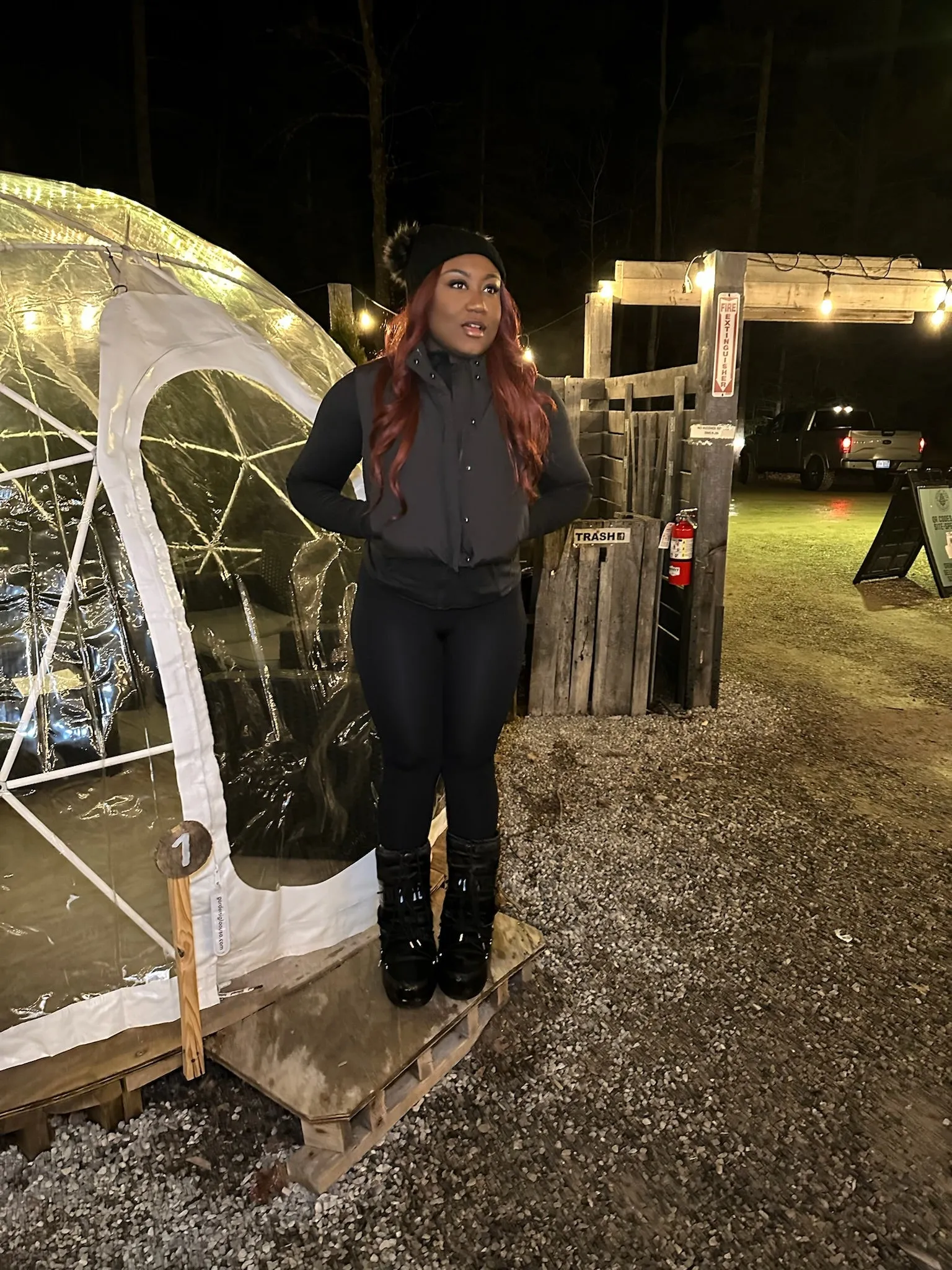 Icon Puffer Vest