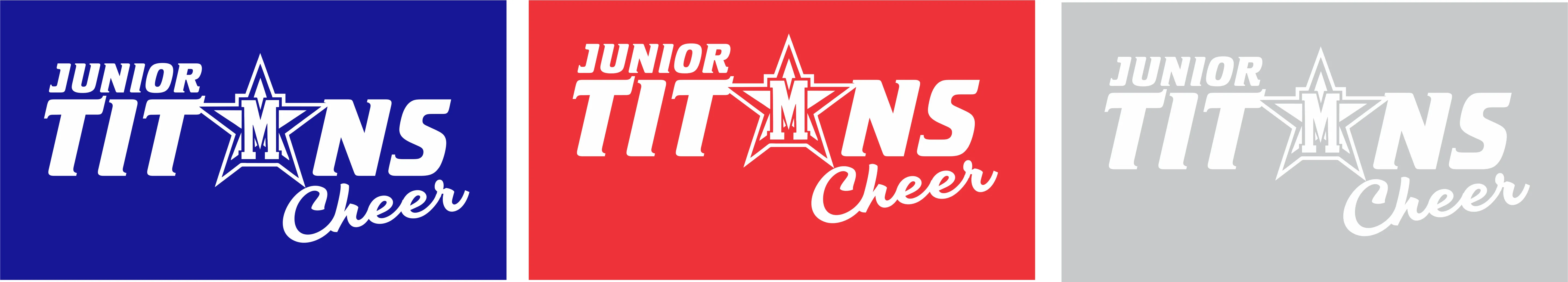 Junior Titans Cheer Hoodies