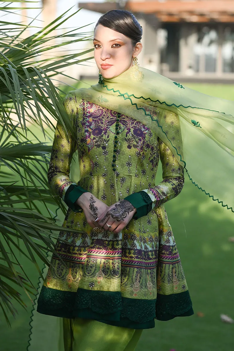 KIWI - ANSAB JAHANGIR