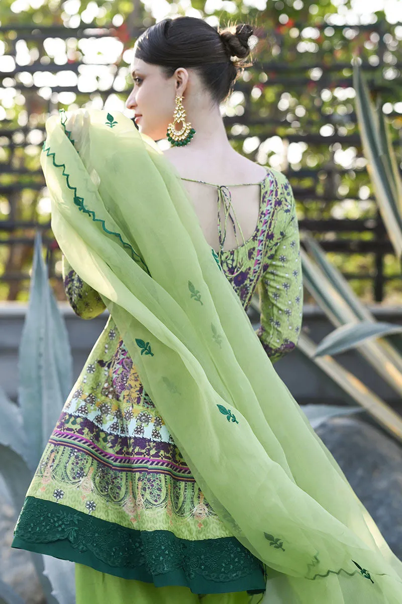KIWI - ANSAB JAHANGIR