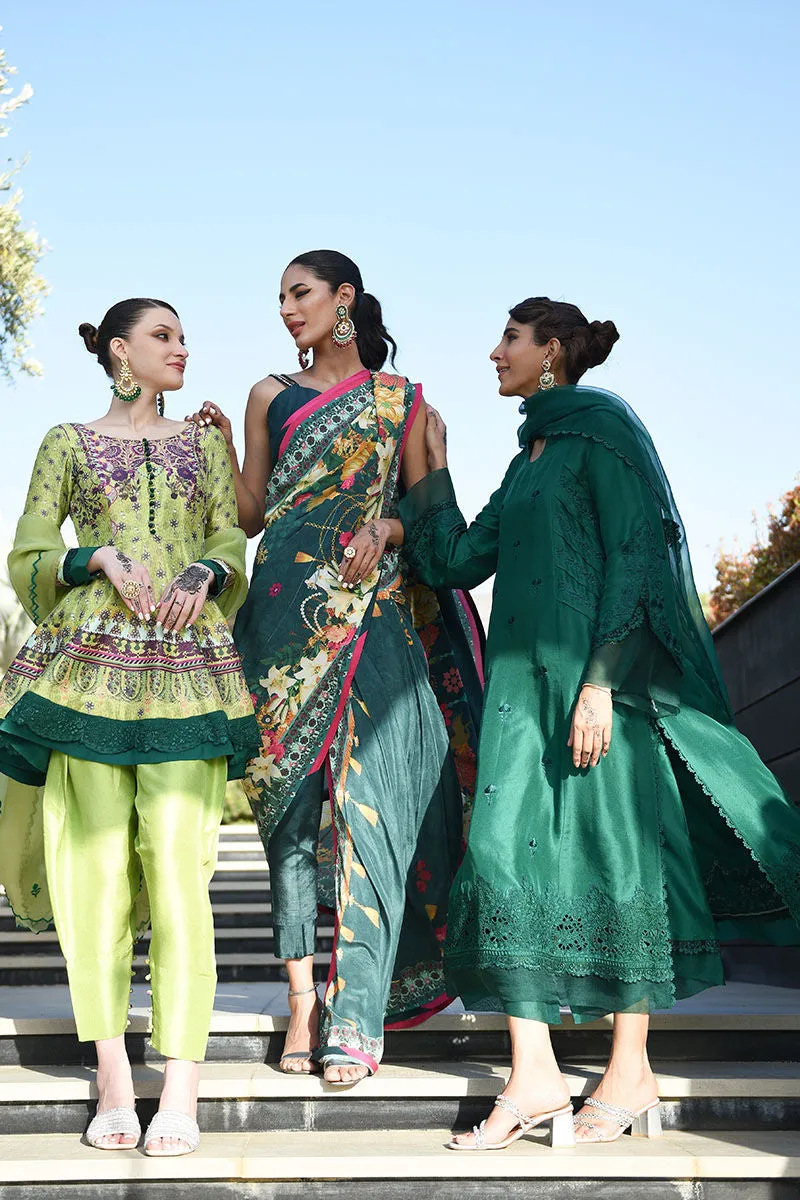KIWI - ANSAB JAHANGIR