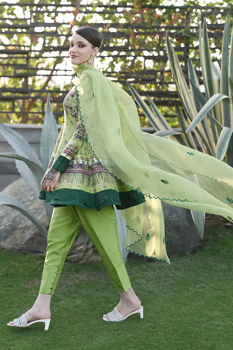 KIWI - ANSAB JAHANGIR