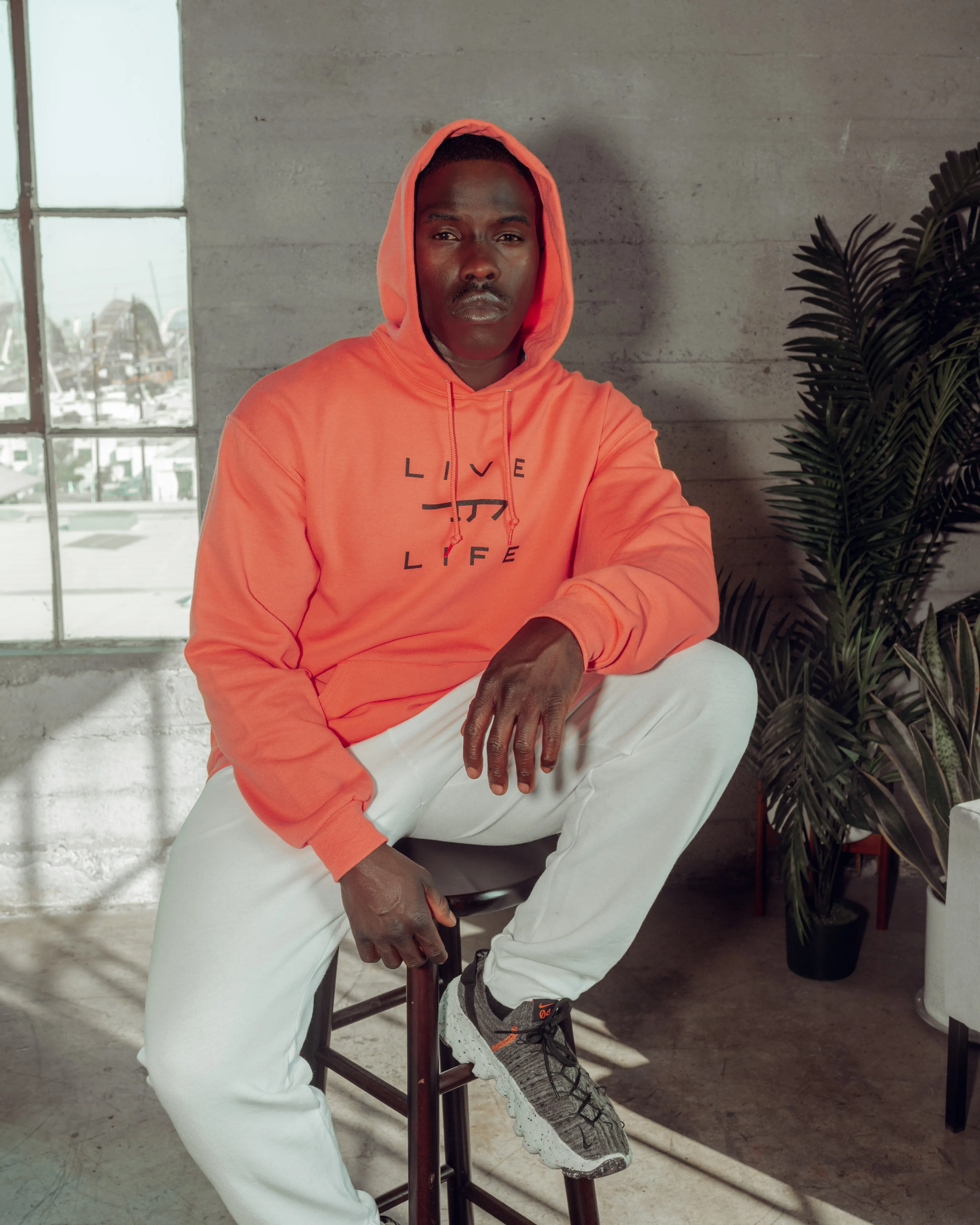 Lust For Life Hoodie