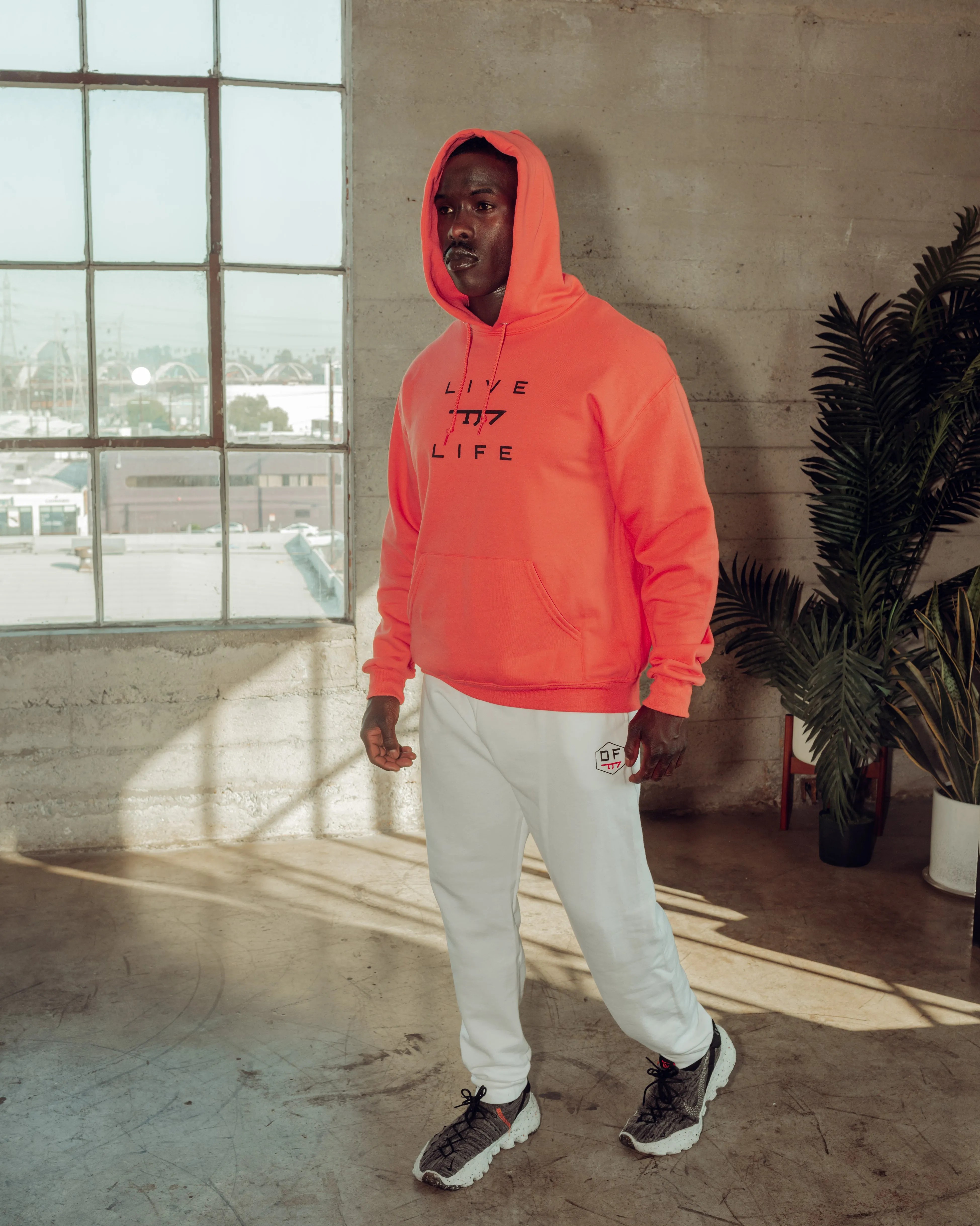 Lust For Life Hoodie
