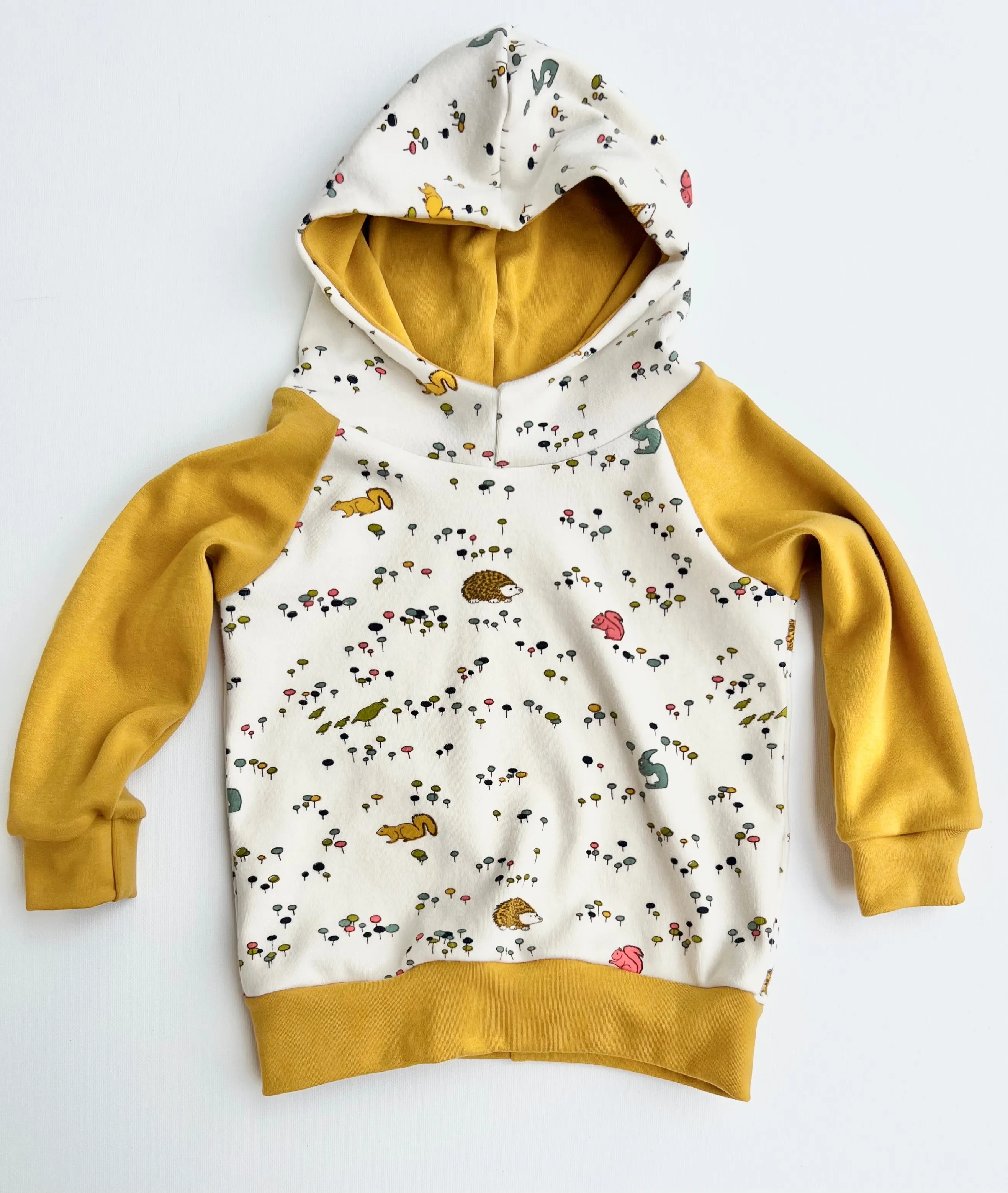 Organic Hoodie
