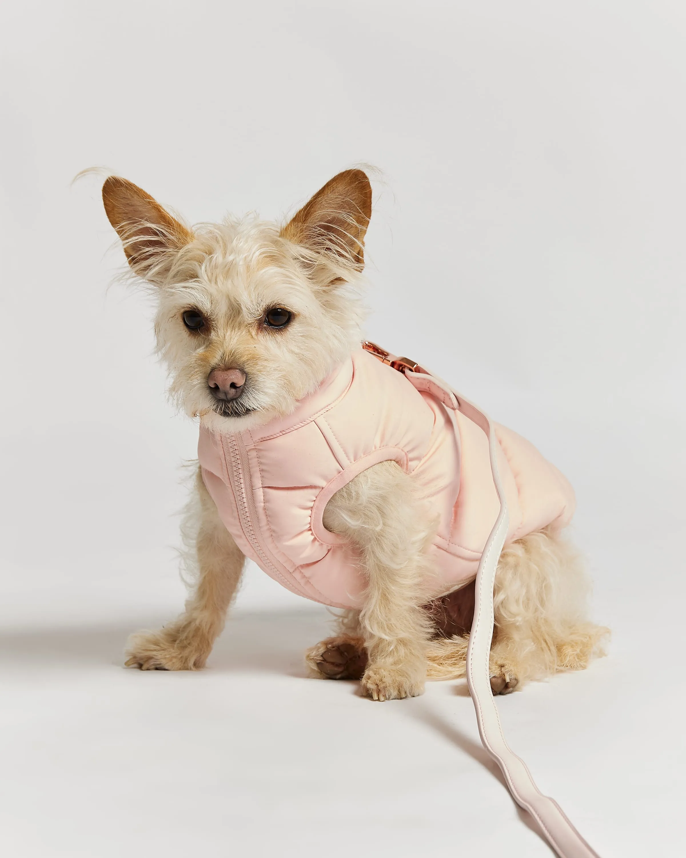 Reversible Dog Puffer Jacket: Pink & Lilac
