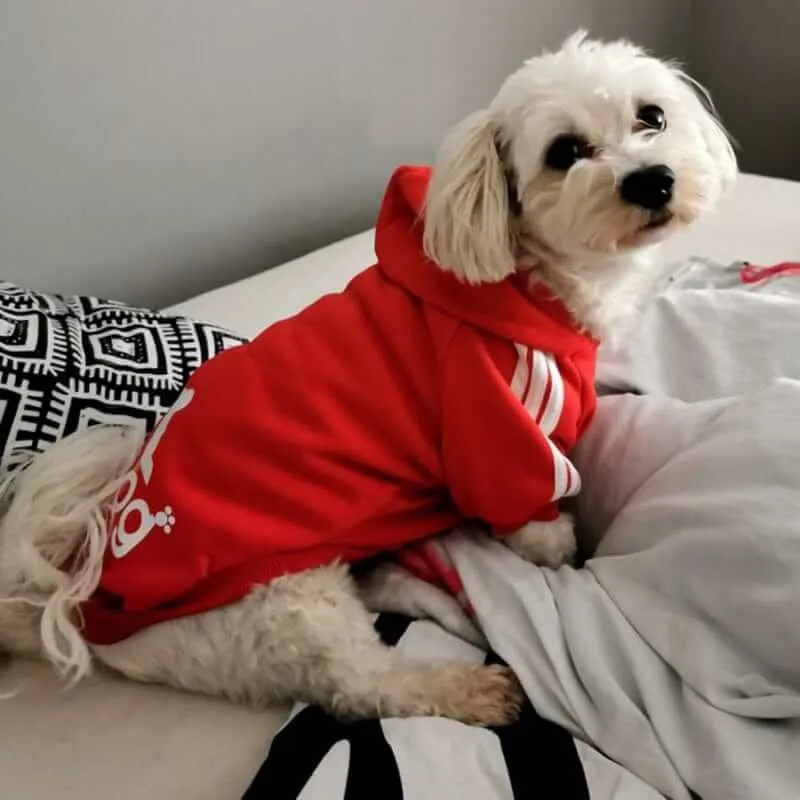 Soft Fleece Hoodie