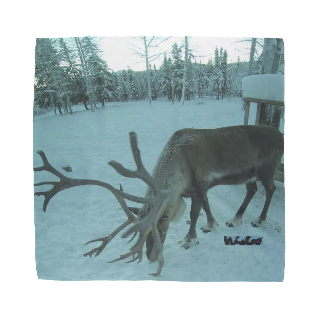 Sublimation Bandana - Rudolph the Reindeer Collection