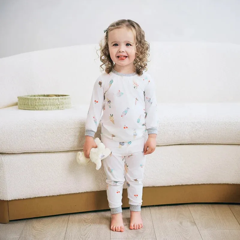 Two-Piece Long Sleeve PJ Set(2 Pack) - Ice Cream Summer
