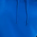 Undeniable hoodie