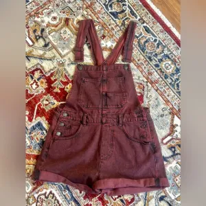 We The Free Mineral Wash Short Overalls