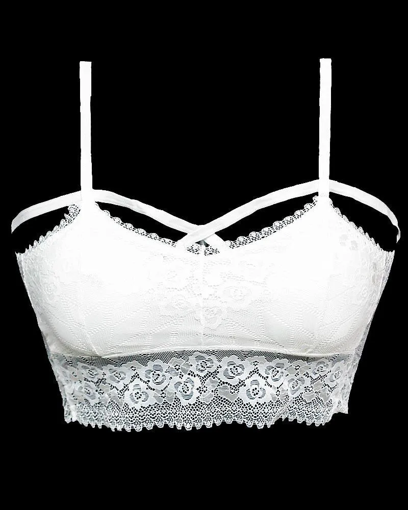 White Net Lace Cotton Push Up Bra 6519